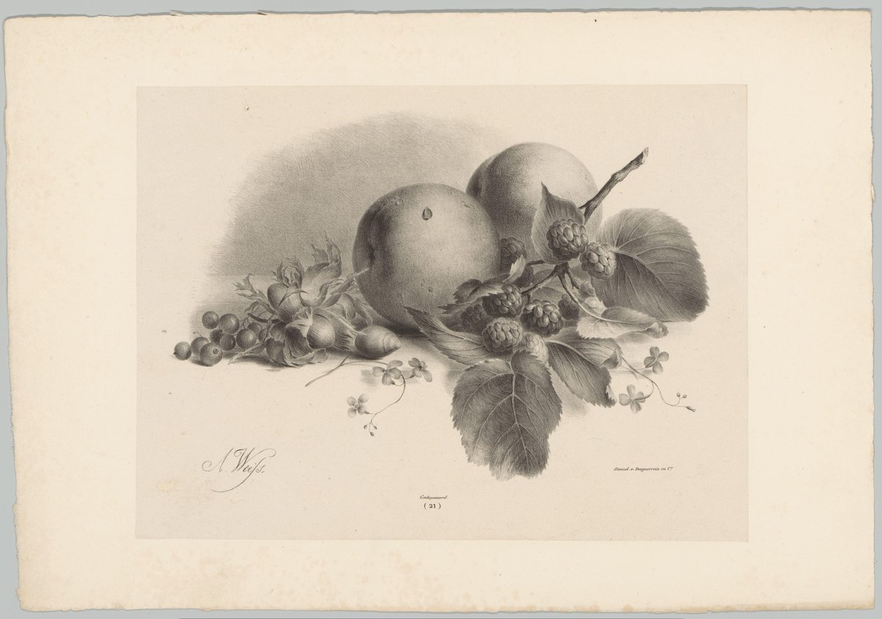 Persikor, bär, hasselnötter och björnbär Flower and Fruit Studies (...) 10:e avsnittet (serietitel) av Anton Weiss