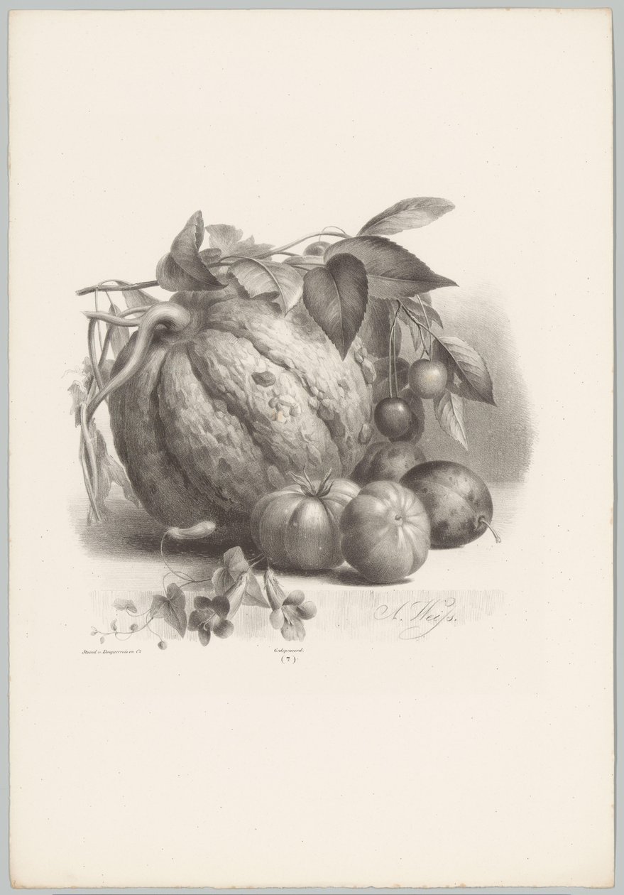 Pumpa, tomater och körsbär Flower and Fruit Studies (...) 10:e avsnittet (serietitel) av Anton Weiss