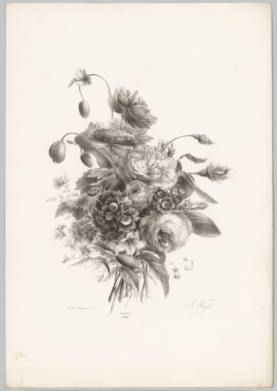 Rosor och andra blommor Flower and Fruit Studies (...) 10:e avsnittet (serietitel) av Anton Weiss