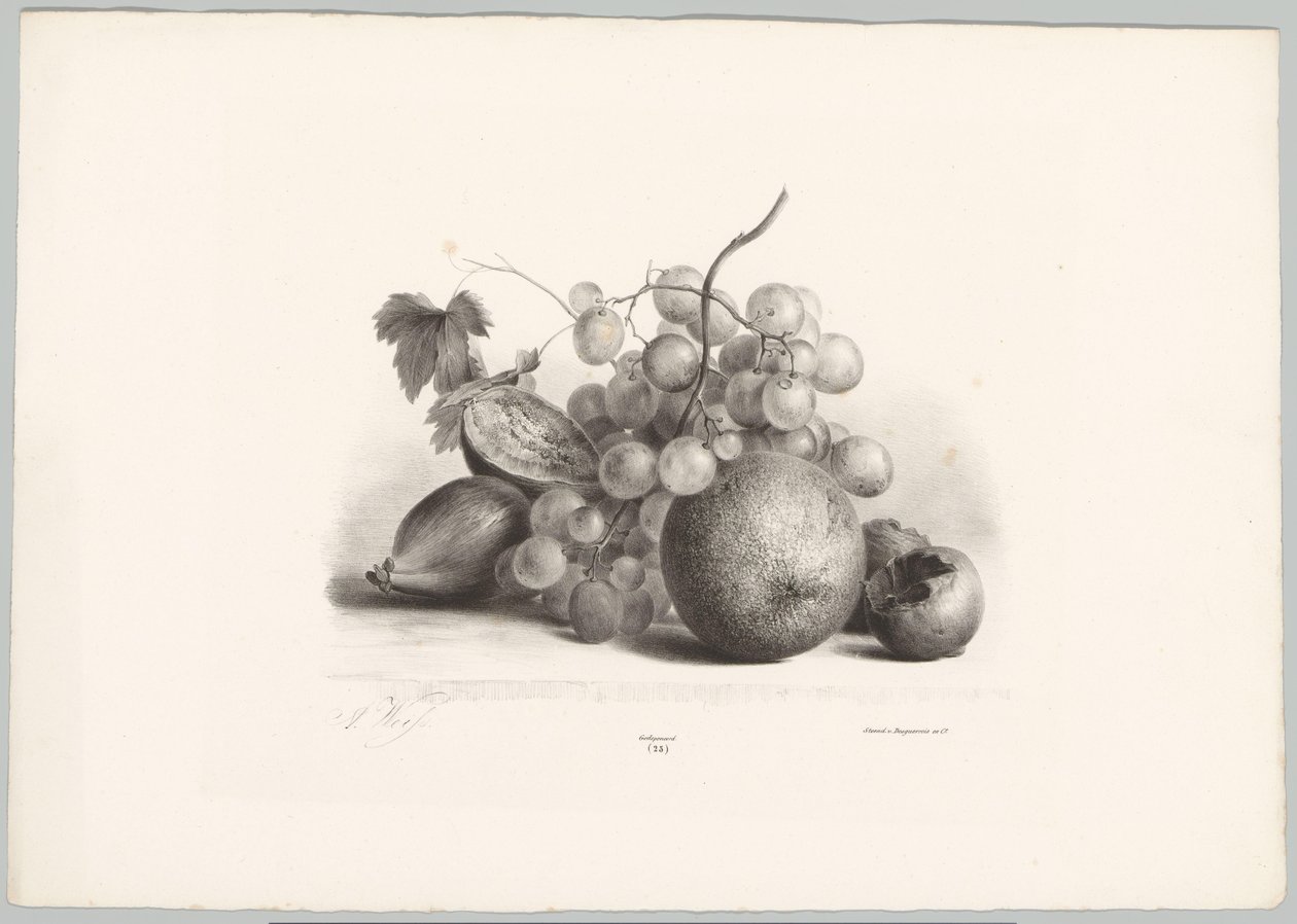 Fikon, vindruvor och apelsin Flower and Fruit Studies (...) 10:e avsnittet (serietitel) av Anton Weiss