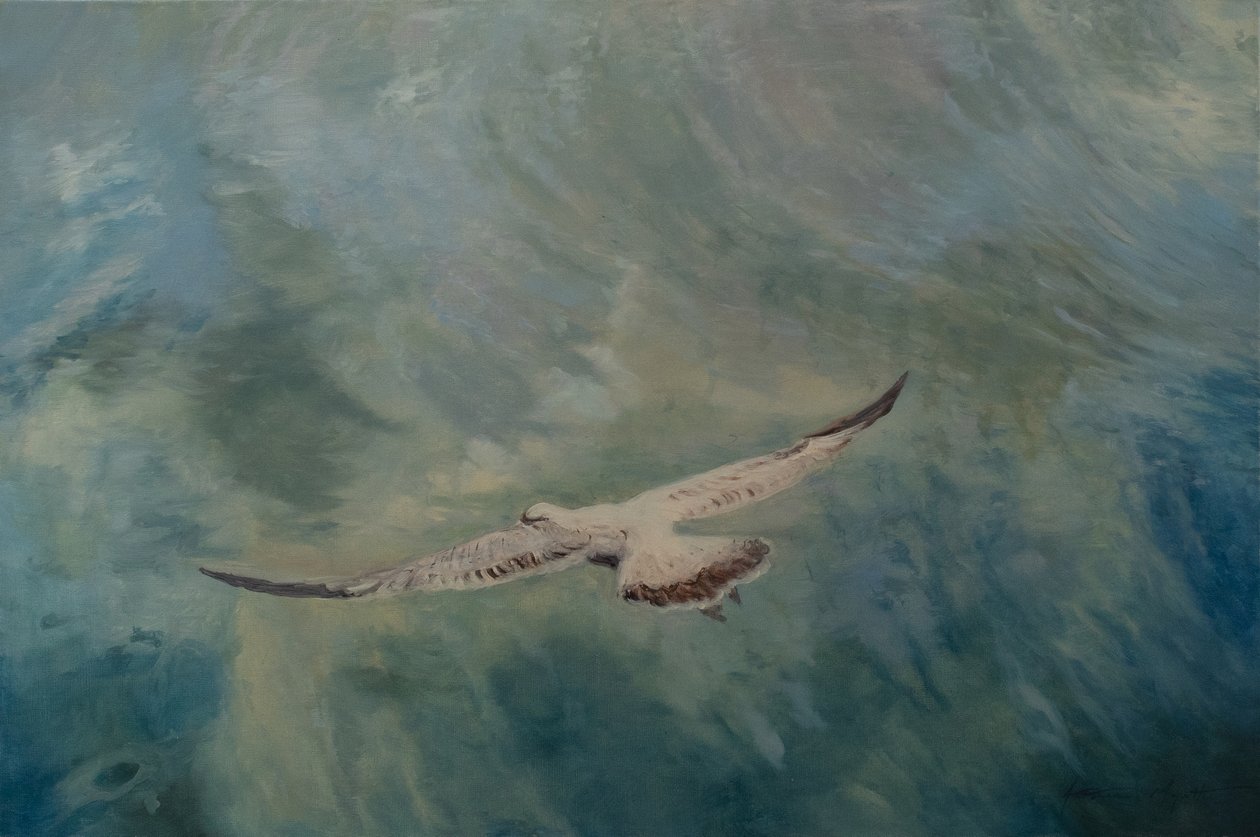 Måsvingar utsträckta, 2012 (olja på duk) av Antonia Myatt