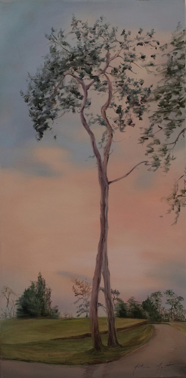 Tapeley Park trees, 2013 (olja på duk) av Antonia Myatt