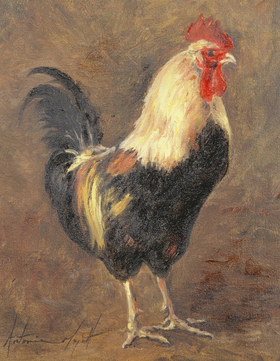 The Cockerel, 1999 av Antonia Myatt