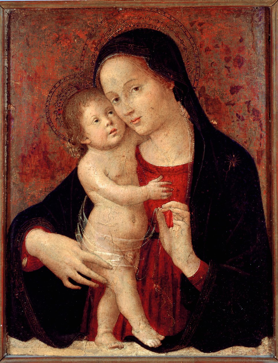Jungfru och barnmålning på trä av Antonio Aquili dit Antoniazzo Romano (aktiv omkring 1461-1508) sön 46x37 Genes, Galleria di Palazzo Bianco av Antoniazzo Romano