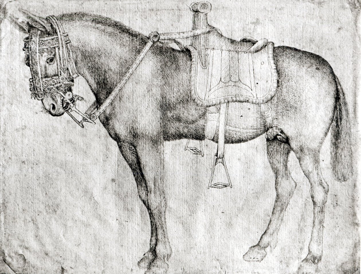 Mule, från Vallardi Album av Antonio Pisanello