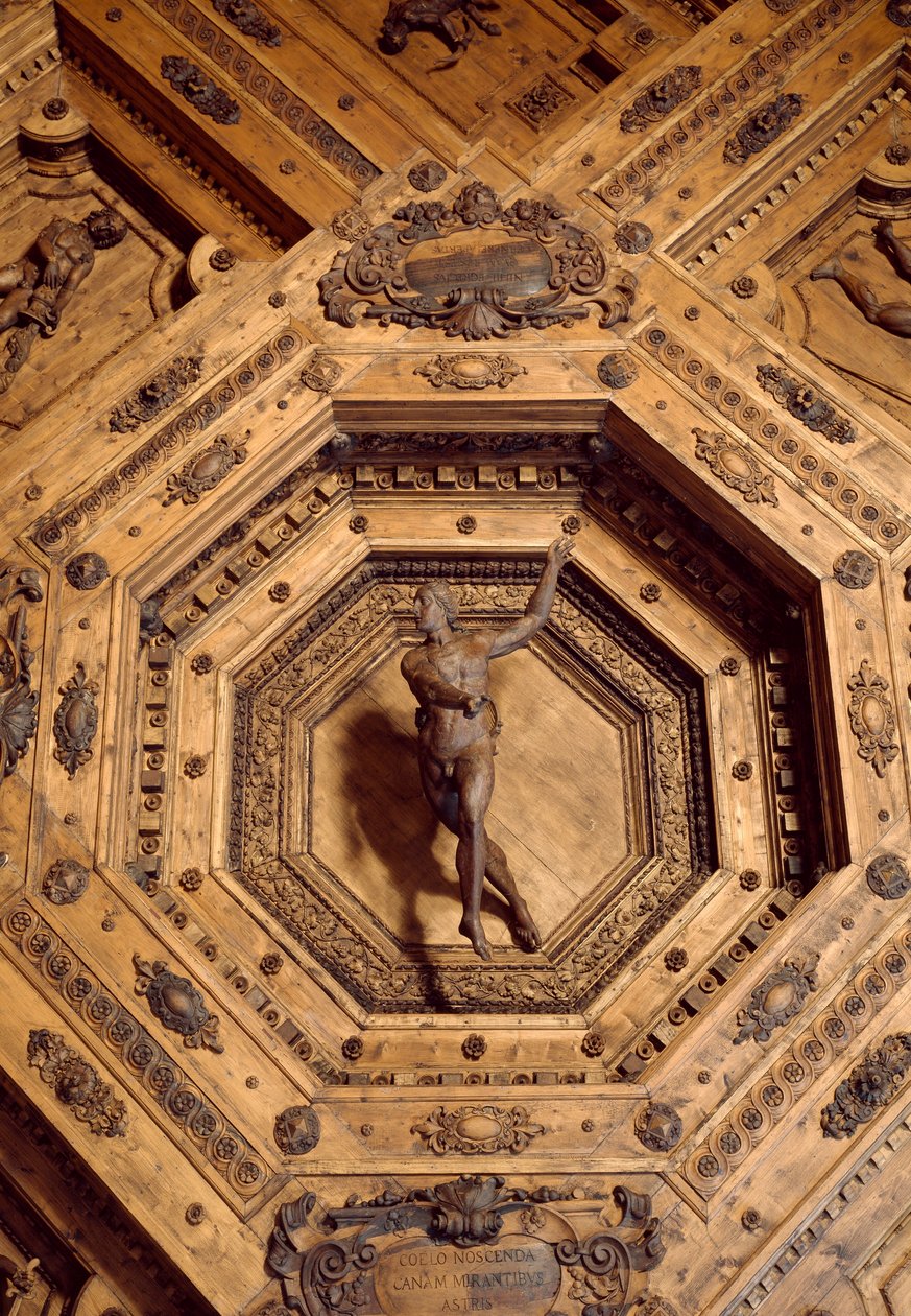 Apollo, beskyddare av medicinen. Detalj av trätaket i den anatomiska teatern av Antonio (d.1663) Paolucci
