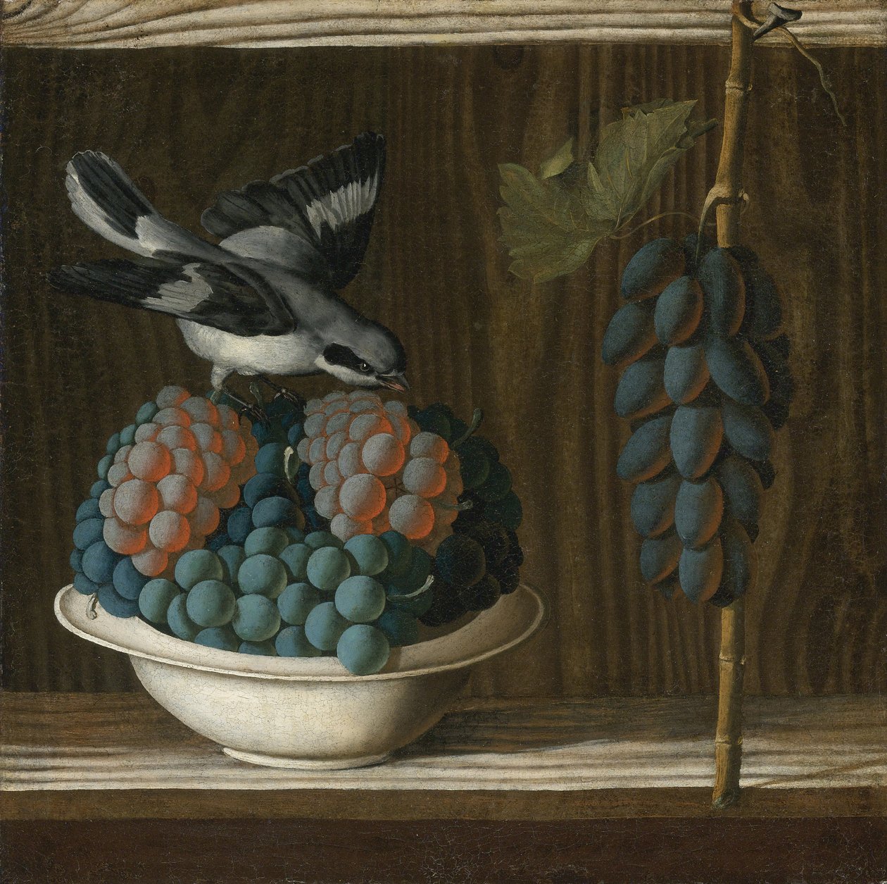 Stilleben med druvor och en grå skrike (Allegory of Painting) av Leonelli (da Crevalcore), Antonio (ca 1450-före 1525). Olja på duk, storlek: 40x39,7, ca. 1500, Privat av Antonio (fl.1478 1513) Leonelli