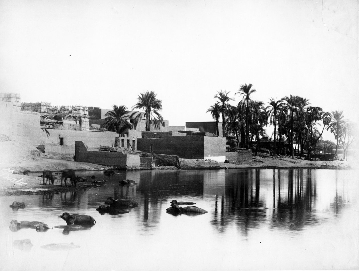 Luxor sett från en Nilbåt, ca 1860-80 av Antonio Beato
