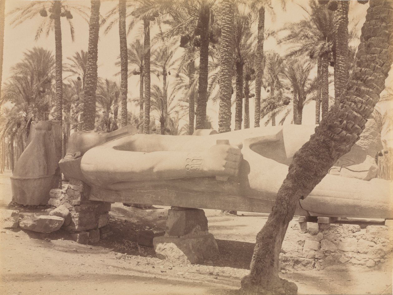 Staty av Ramses i Saqqara, ca. 1870-1880-talen. av Antonio Beato