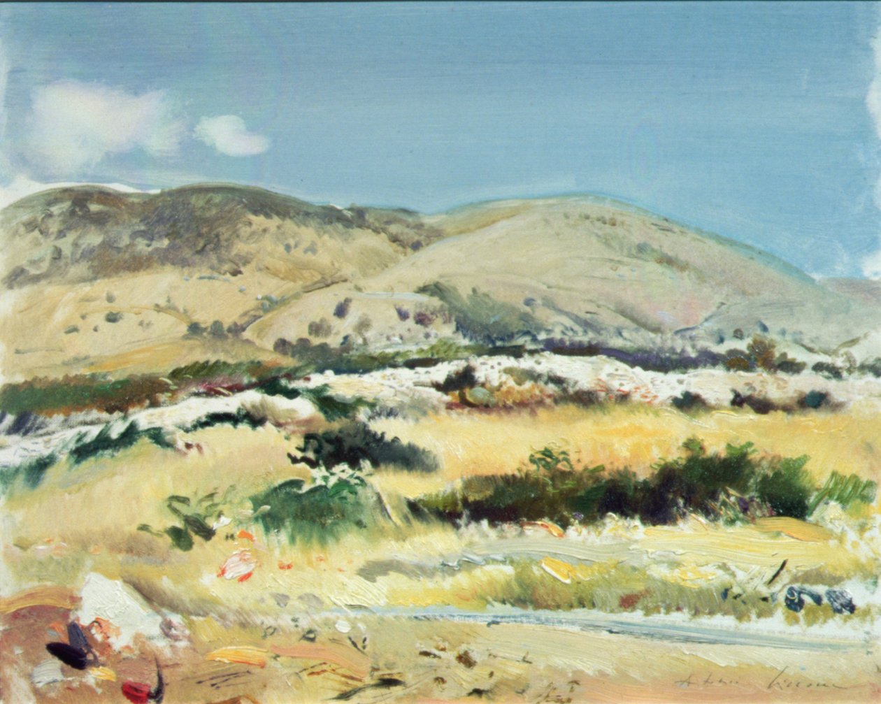 Gargano, 1981 av Antonio Ciccone