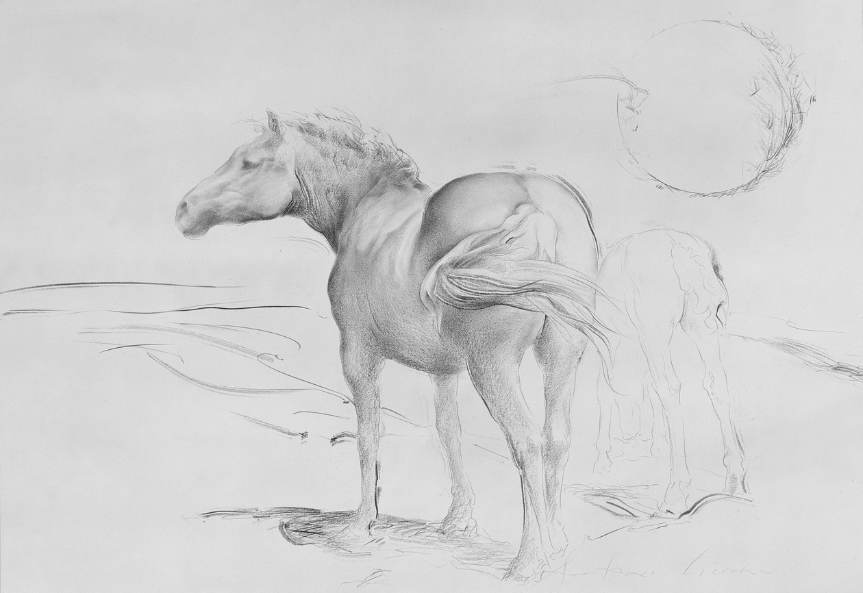 Horses at Coolmore, 1990 (kol på papper) av Antonio Ciccone