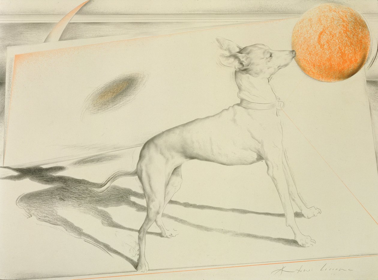 Space Dog (kol och pastell på papper) av Antonio Ciccone