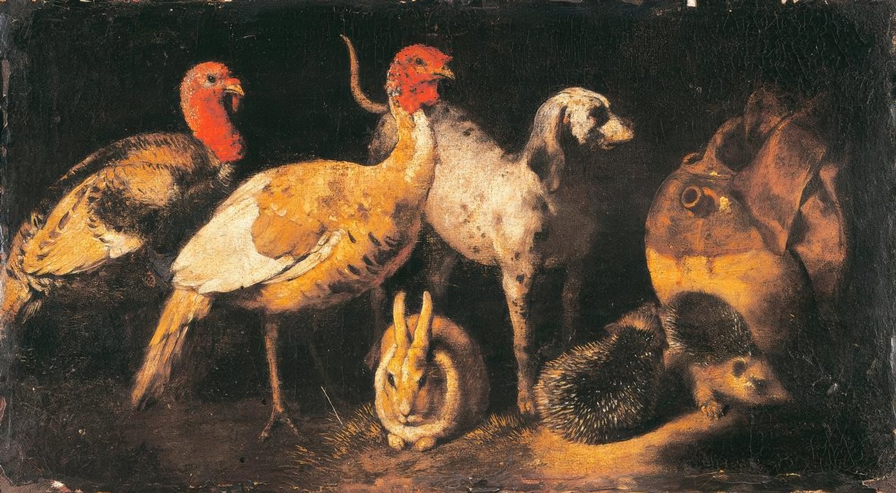 Kalkonhöns, hundar, kaniner och igelkottar av Antonio Maria Vassallo