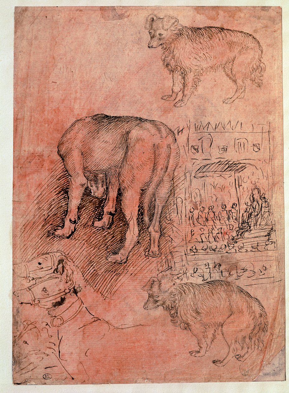 Hundstudier. Aulic avsnitt. Teckning av Antonio Pisano dit il Pisanello (1380-1455) av Antonio Pisanello