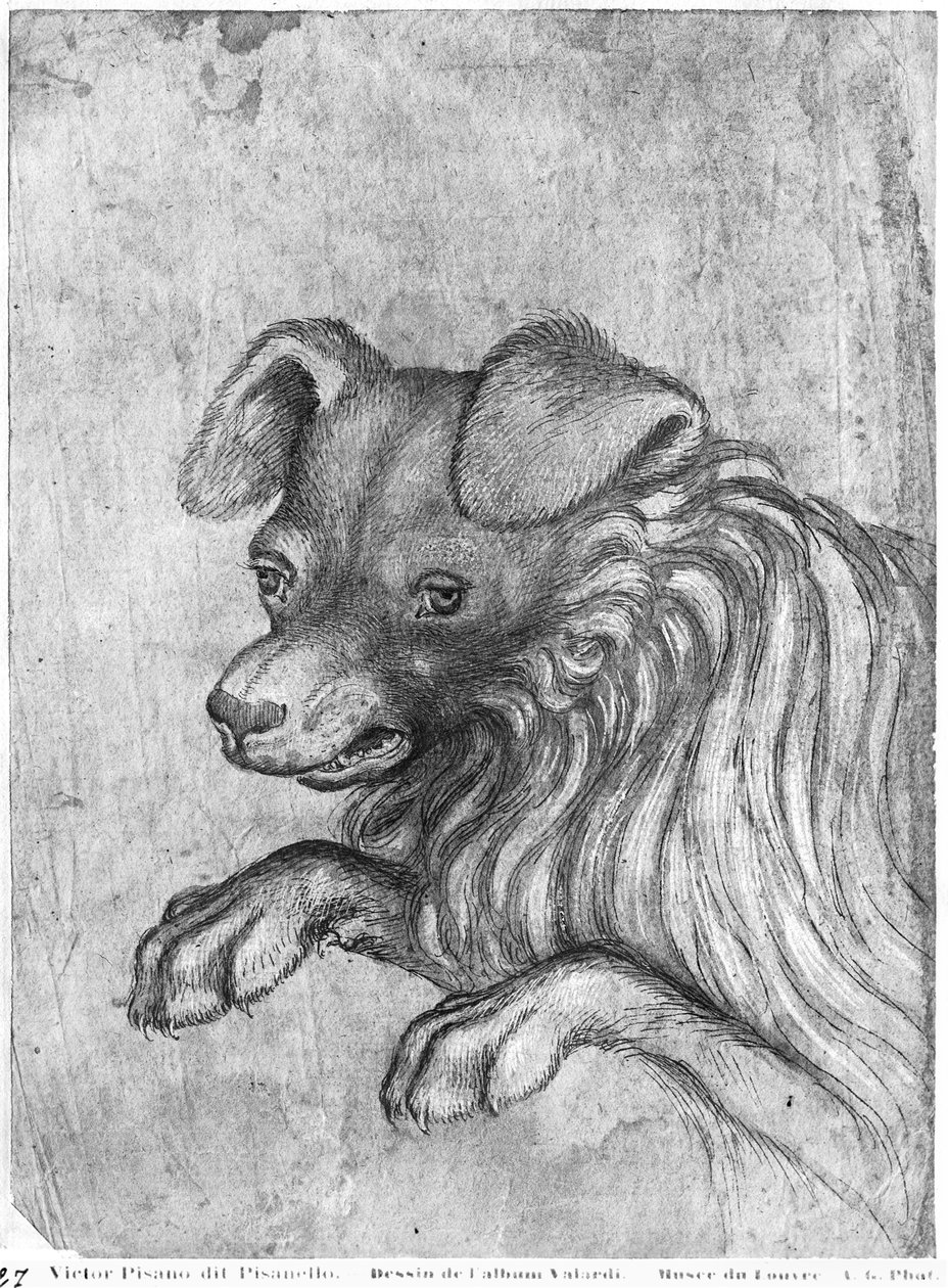 Huvud av en hund, från The Vallardi Album av Antonio Pisanello