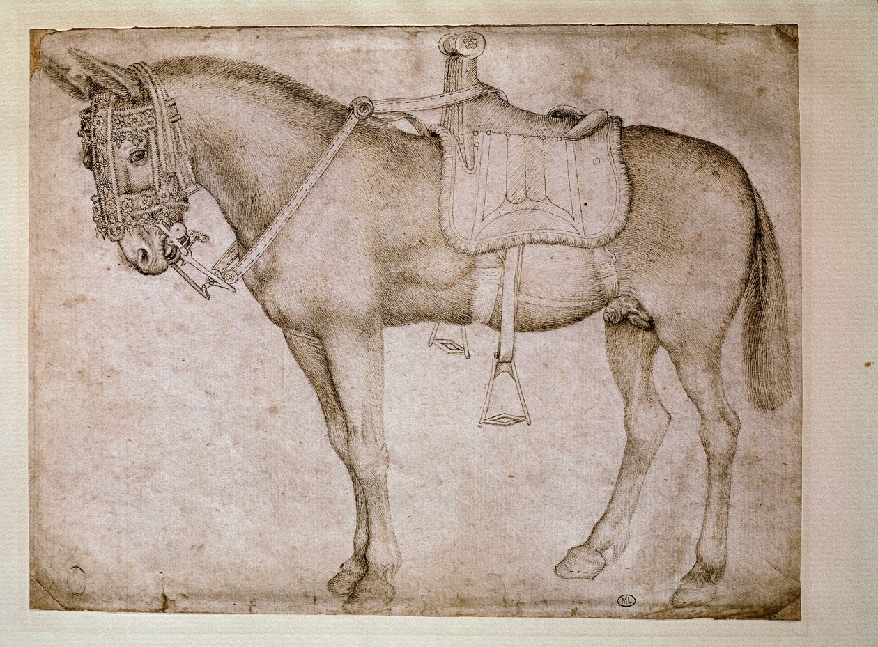Mulsele. Teckning av Antonio Pisano dit il Pisanello (1380-1455) av Antonio Pisanello