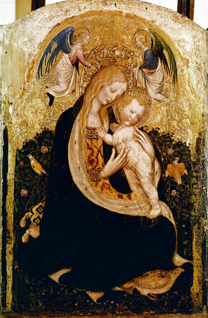 Madonnan har vaktel Detrempe på trä av Pisanello (Antonio Pisano) (ca 1380-1455). 1420 ca. Dim.50x33 cm Verone, Castevecchio Museum - Madonna med en vaktel, av Antonio Pisano a.k.a Pisanello (1380-c.1455)., Tempera på trä, 50x33 cm av Antonio Pisanello