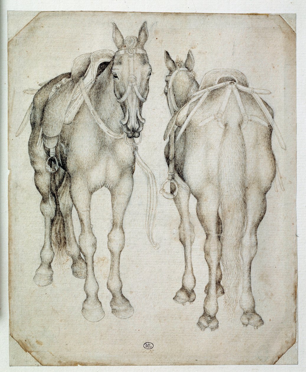 Två selar, sedda tre fjärdedelar, den ena framifrån och den andra bakifrån. Teckning av Pisano Antonio di Puccio dit Pisanello (1395-1455) av Antonio Pisanello
