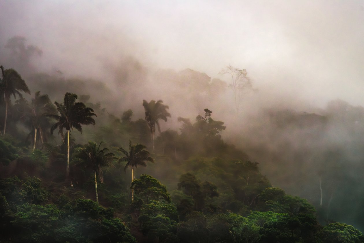 Corcovado XIX, 2020 (digitalt foto) av Antonio Schubert