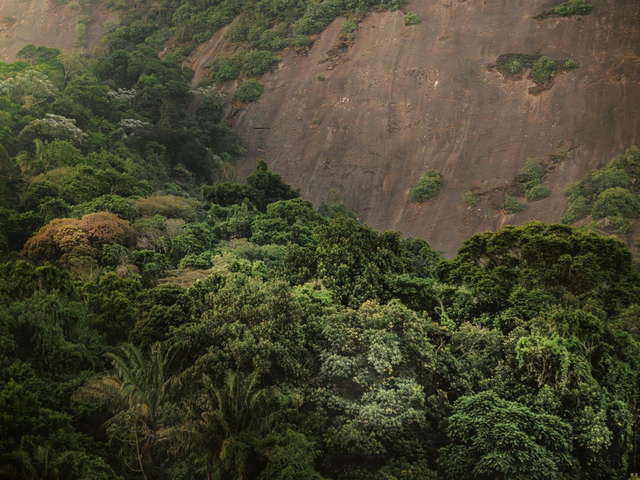 Corcovado XV, 2020 (digital fotografi) av Antonio Schubert