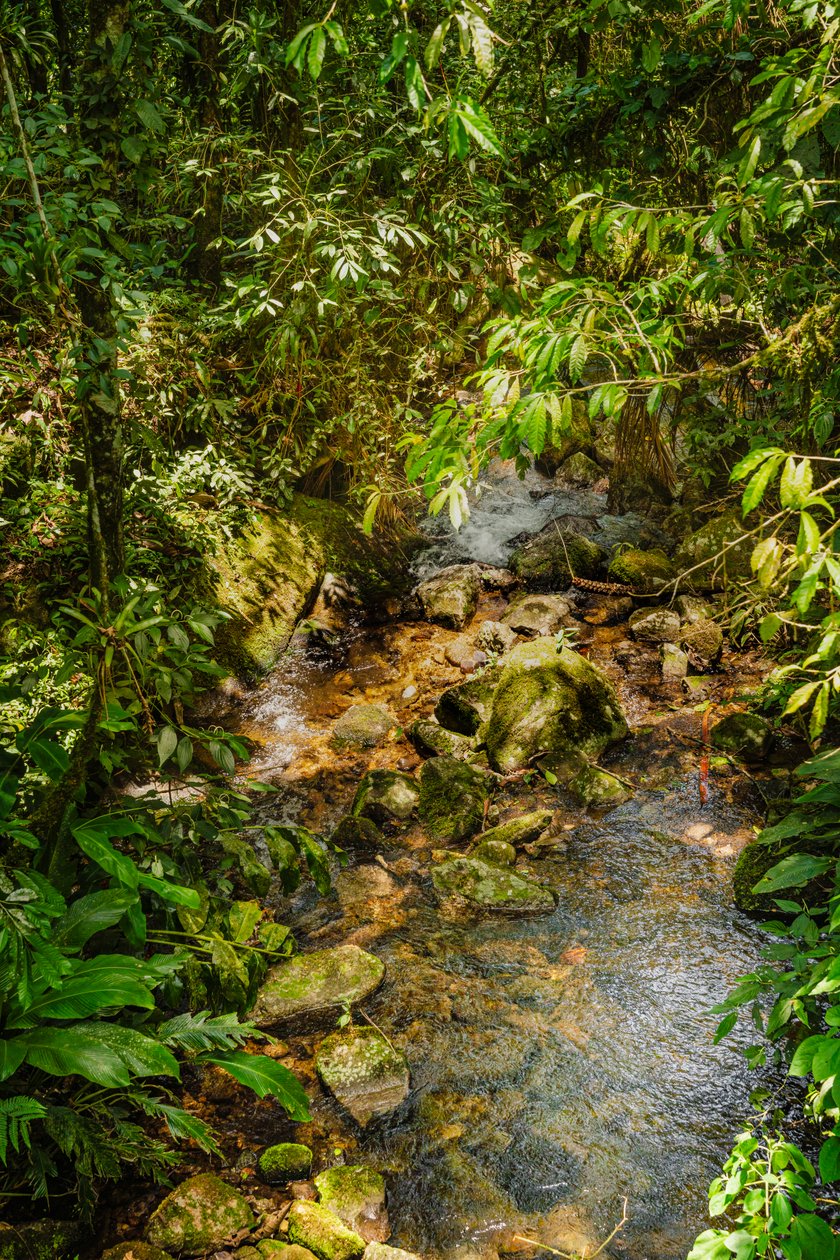 Mantiqueira Ridge, 2021 (foto) av Antonio Schubert