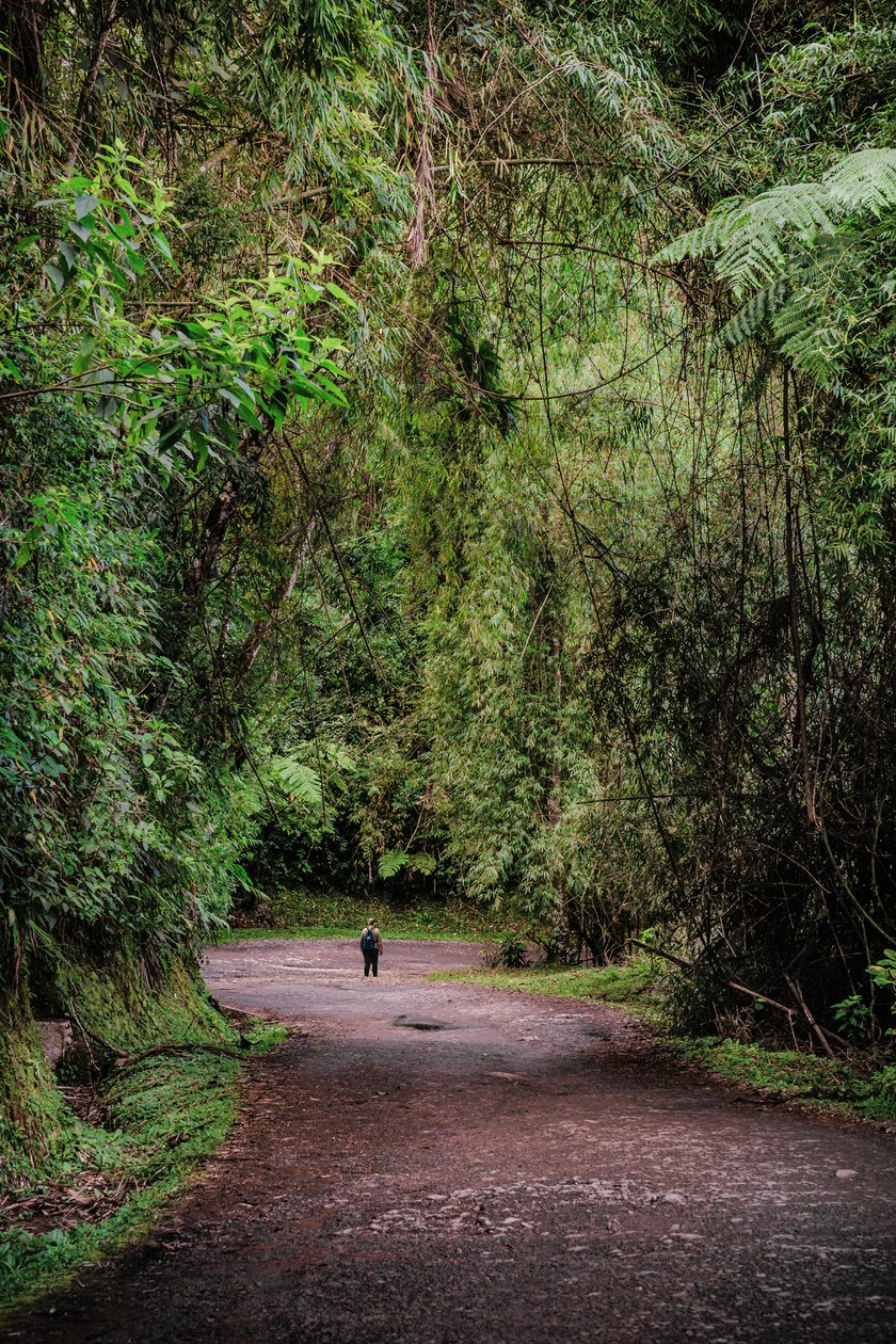 Mantiqueira XLIII, 2015 (digital fotografi) av Antonio Schubert