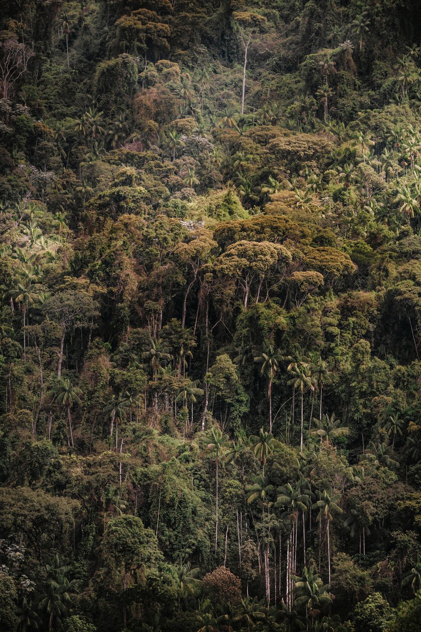 Mantiqueira XXXV, 2015 (digitalt fotografi) av Antonio Schubert