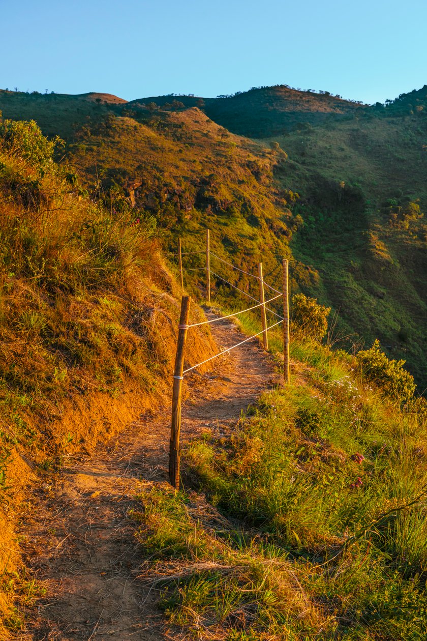 Trail, 2023 (digitalt fotografi) av Antonio Schubert