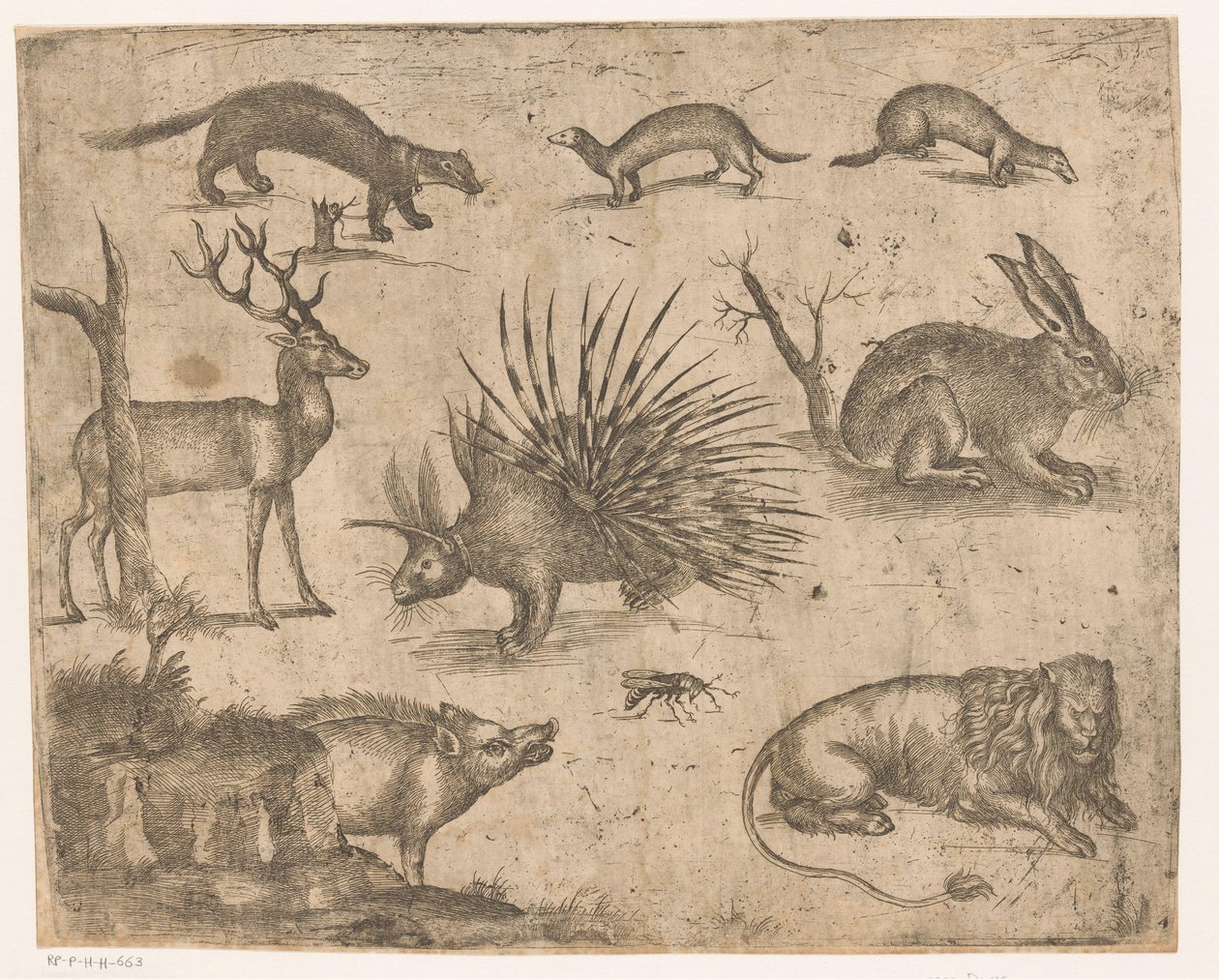 Studieblad med olika djur av Antonio Tempesta (attributed to)