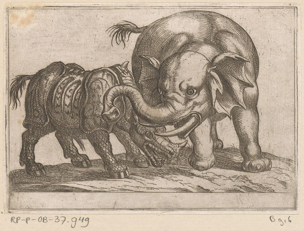 En noshörning slåss mot en elefant Kampdjur (serietitel) av Antonio Tempesta