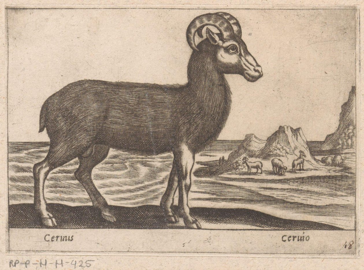 Ädelsten Cerinis / Ceruio (titel på objekt) Dieren en fabelwezens (serietitel) Nova samling av de mest nyfikna djuren i världen (serietitel) av Antonio Tempesta