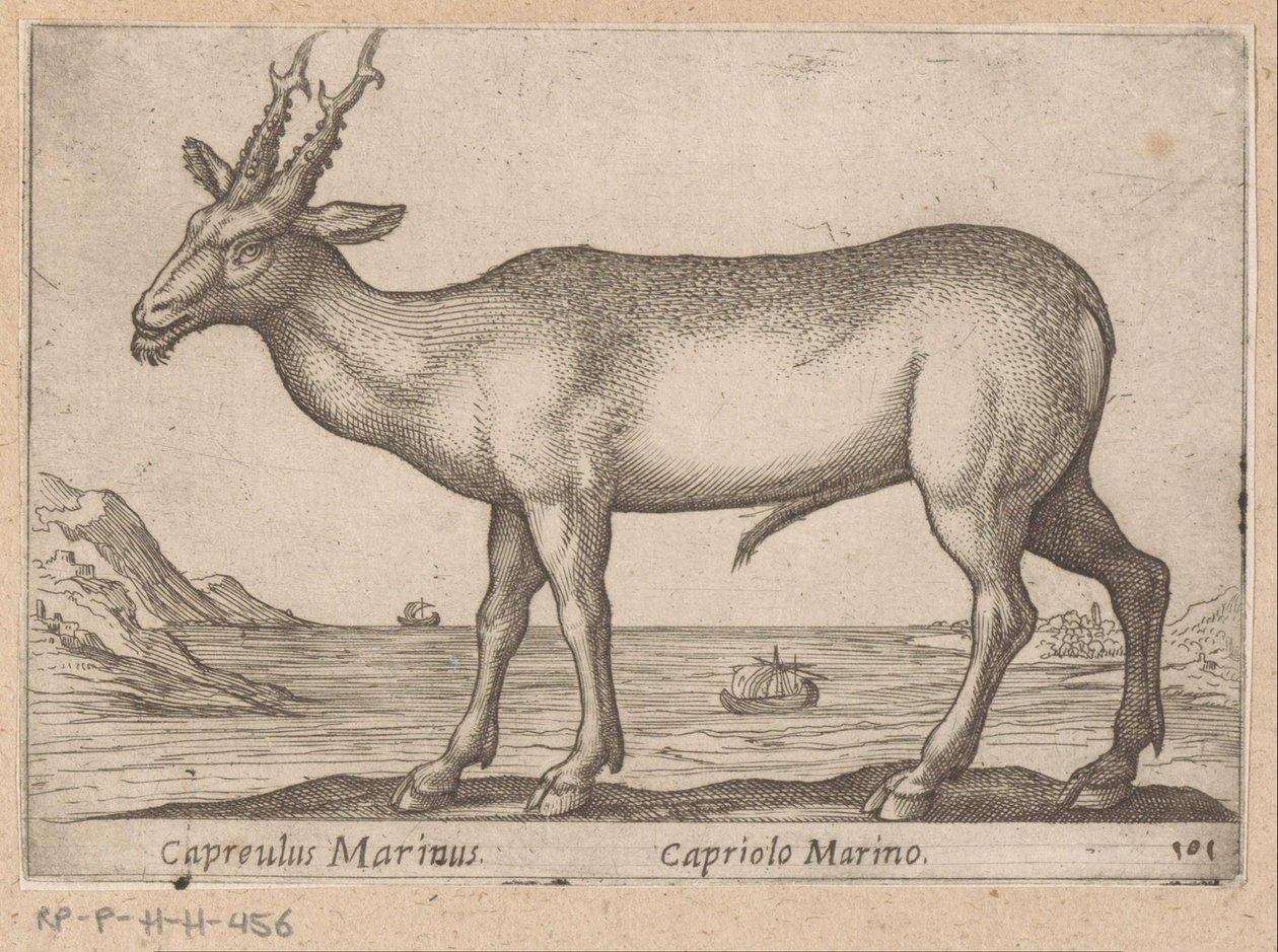 Hert Capreulus Marinus/ Capriolo Marino (titel på objekt) Dieren en fablewezens (serietitel) Ny samling av världens mest nyfikna djur (serietitel) av Antonio Tempesta