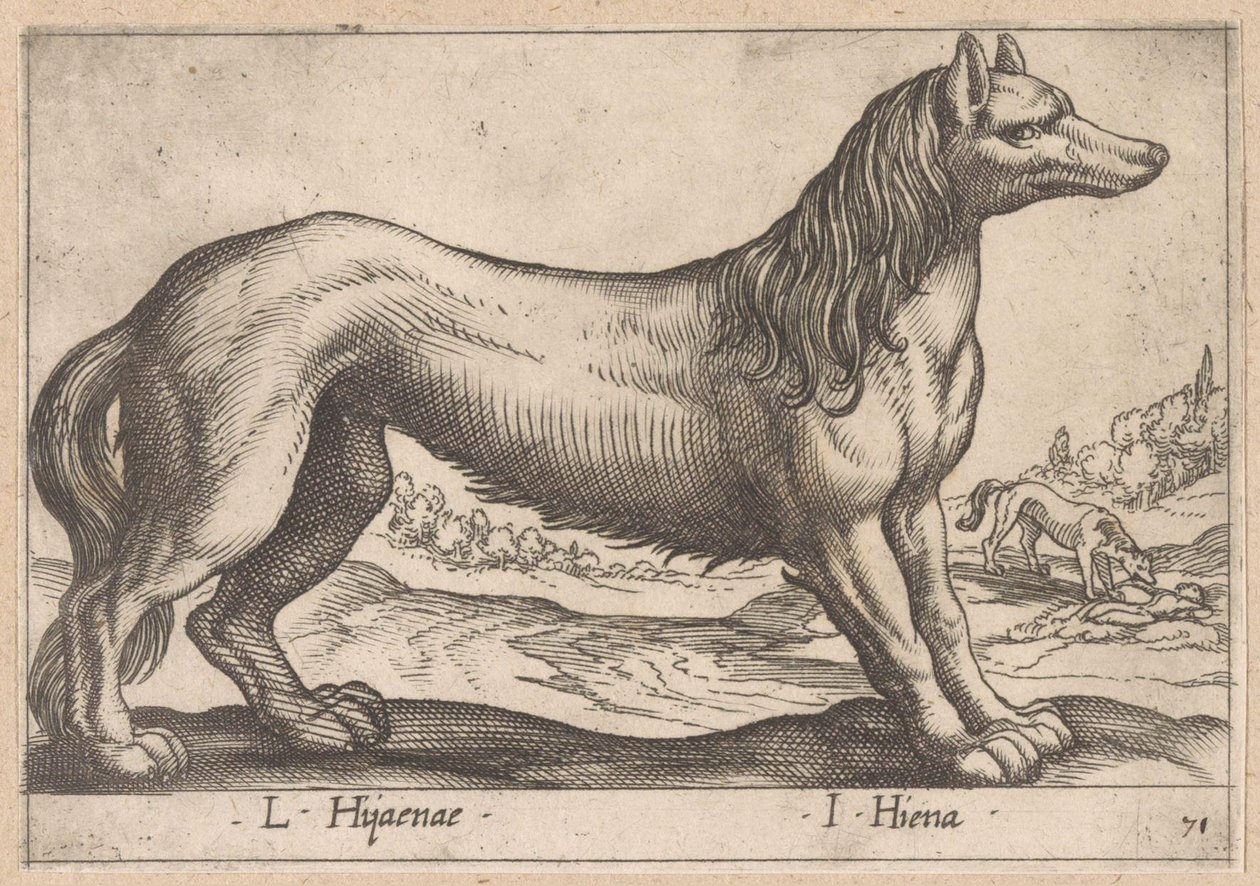 hyena L Hijanae/ I Hiena (titel på objekt) Dieren en fabelwezens (serietitel) Ny samling av världens nyfikna djur (serietitel) av Antonio Tempesta