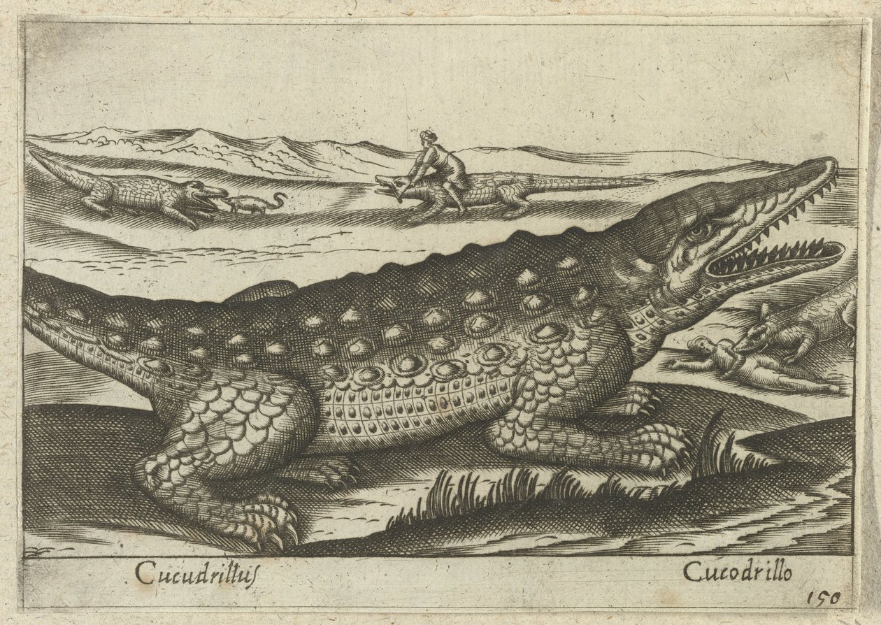 Krokodil Coccodrillus/ Krokodil (titel på objekt) Dieren en fablewezens (serietitel) Ny samling av världens mest nyfikna djur (serietitel) av Antonio Tempesta