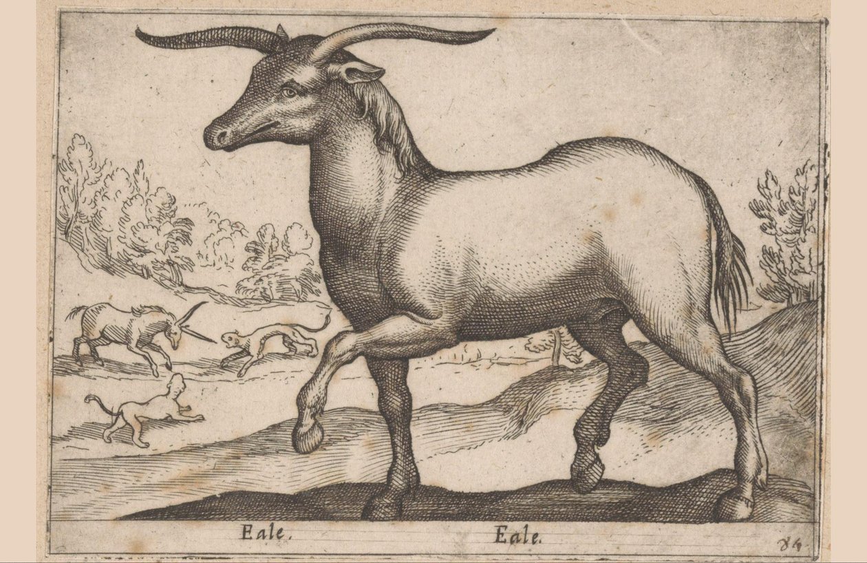 Häst med horn Eale/ Eale (titel på objekt) Djur och mytiska varelser (serietitel) Nova raccolta de li animali piu curiosi del mondo (serietitel) av Antonio Tempesta