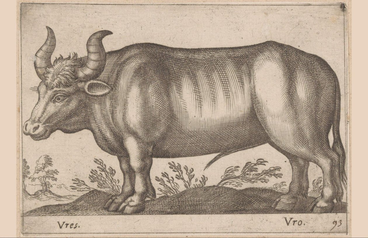 Runda Vres/ Vro (titel på objekt) Djur och mytiska varelser (serietitel) Nova raccolta de li animali piu curiosi del mondo (serietitel) av Antonio Tempesta