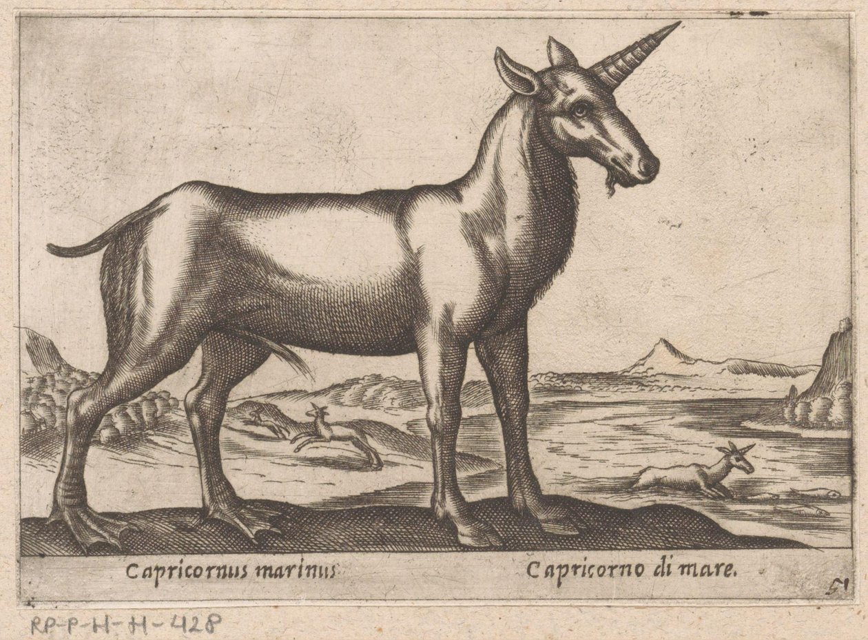 Stenbocken som ett havsdjur Capricornus marinus/ Capricorno di mare (titel på objektet) Djur och mytiska varelser (serietitel) Nova raccolta de li animali piu curiosi del mondo (serietitel) av Antonio Tempesta