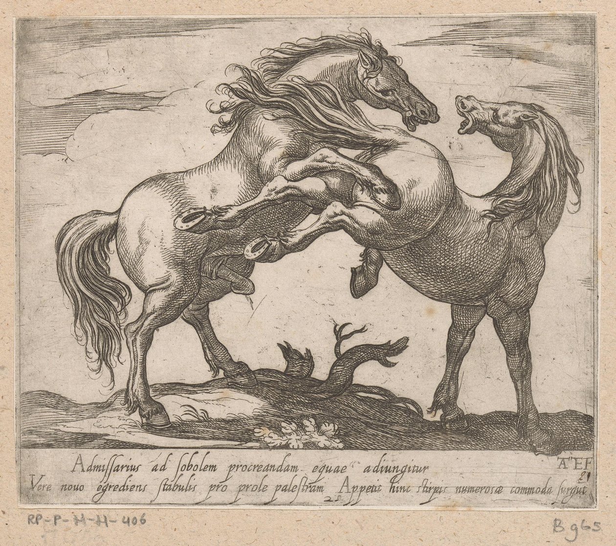 Två parende paarden Paarden uit verschiedelde landen (serietitel) Med dessa ledare kommer du att firas som en ledare med en viroru-mun. av Antonio Tempesta