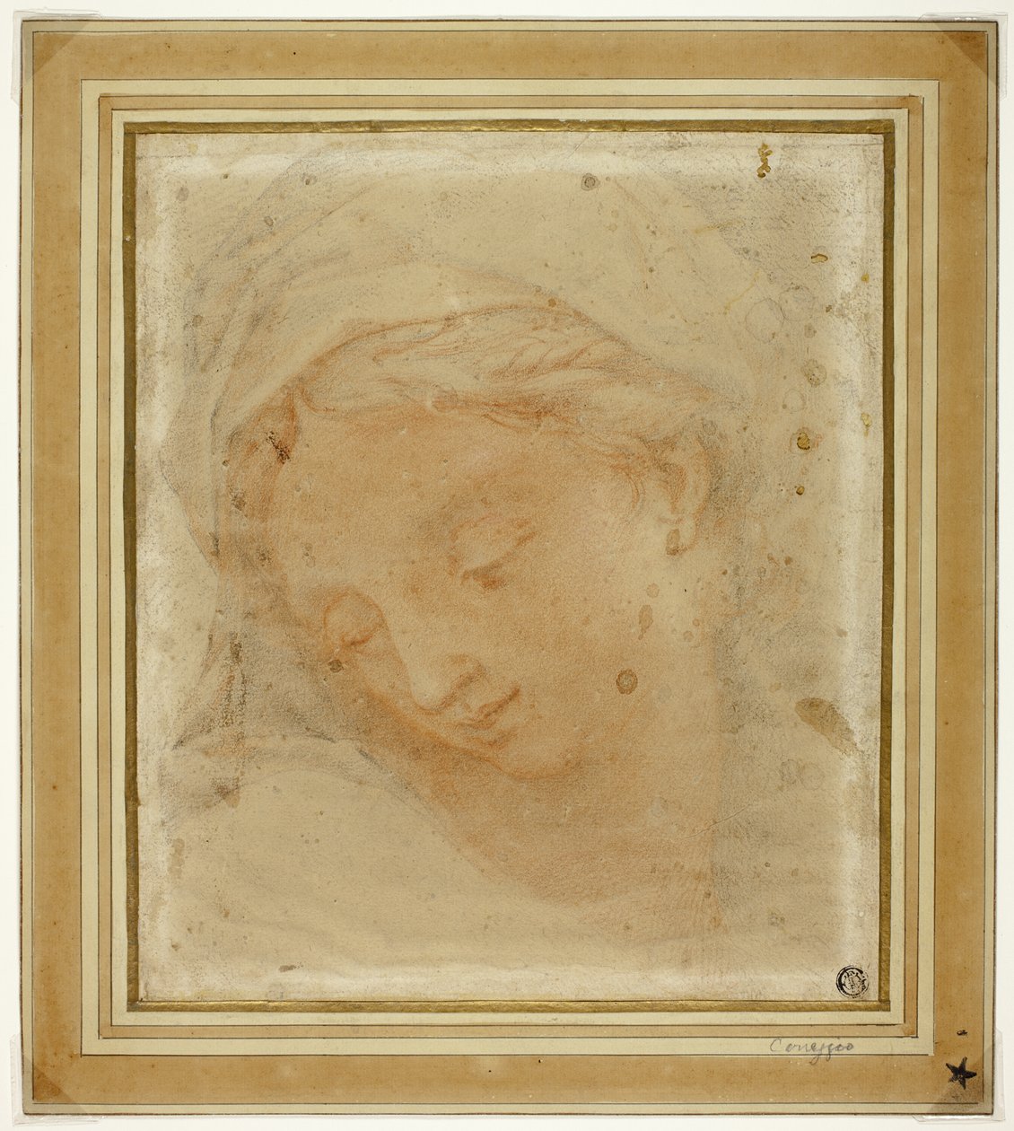 Kvinnans huvud av Antonio da Correggio