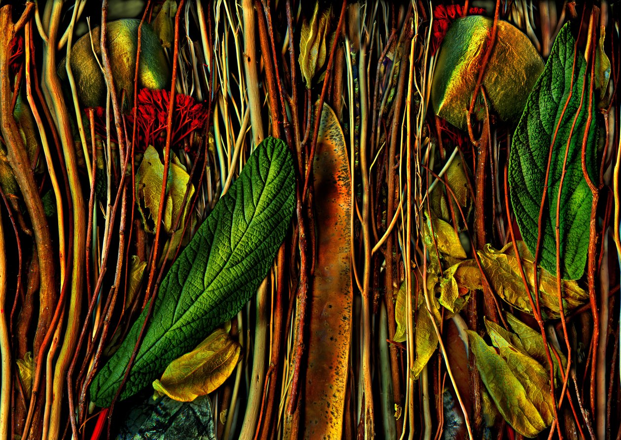  av Antonius Antonius