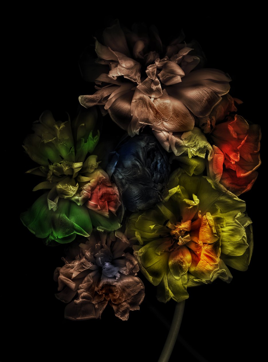  av Antonius Antonius