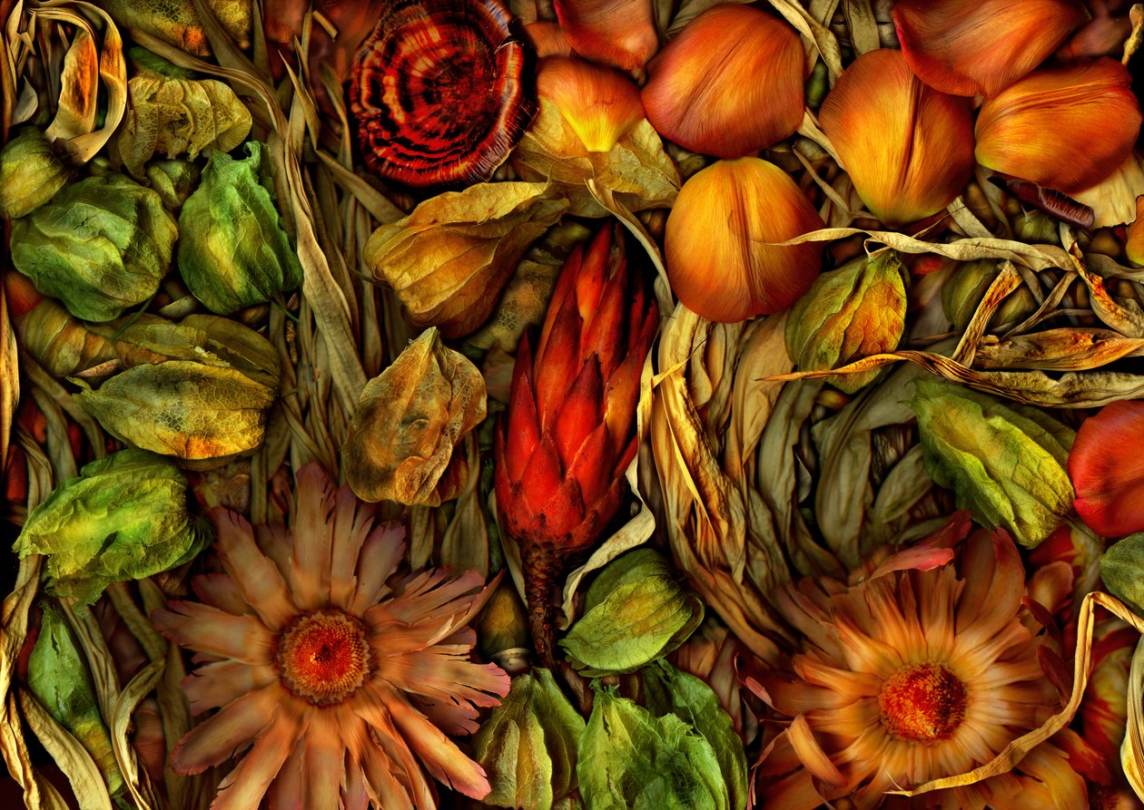  av Antonius Antonius