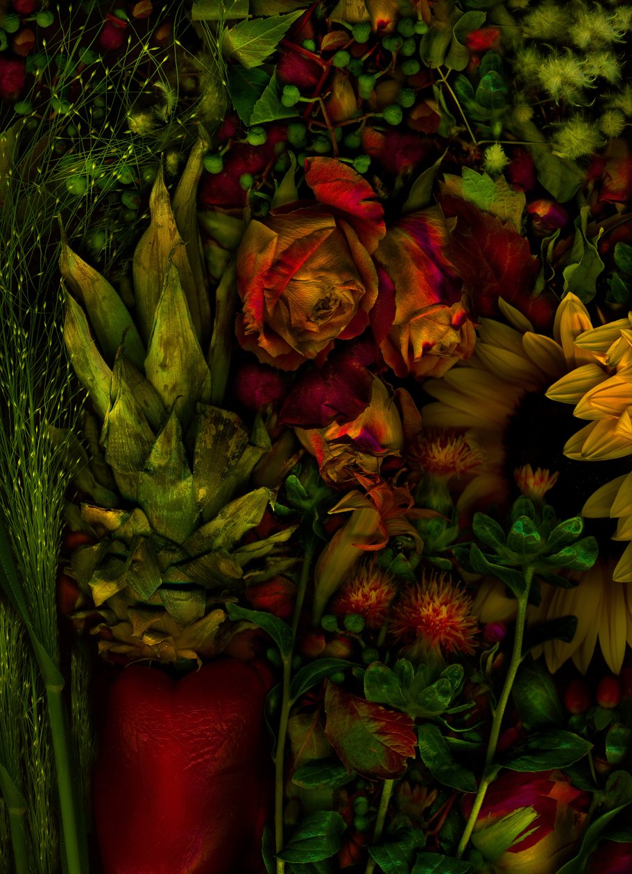  av Antonius Antonius