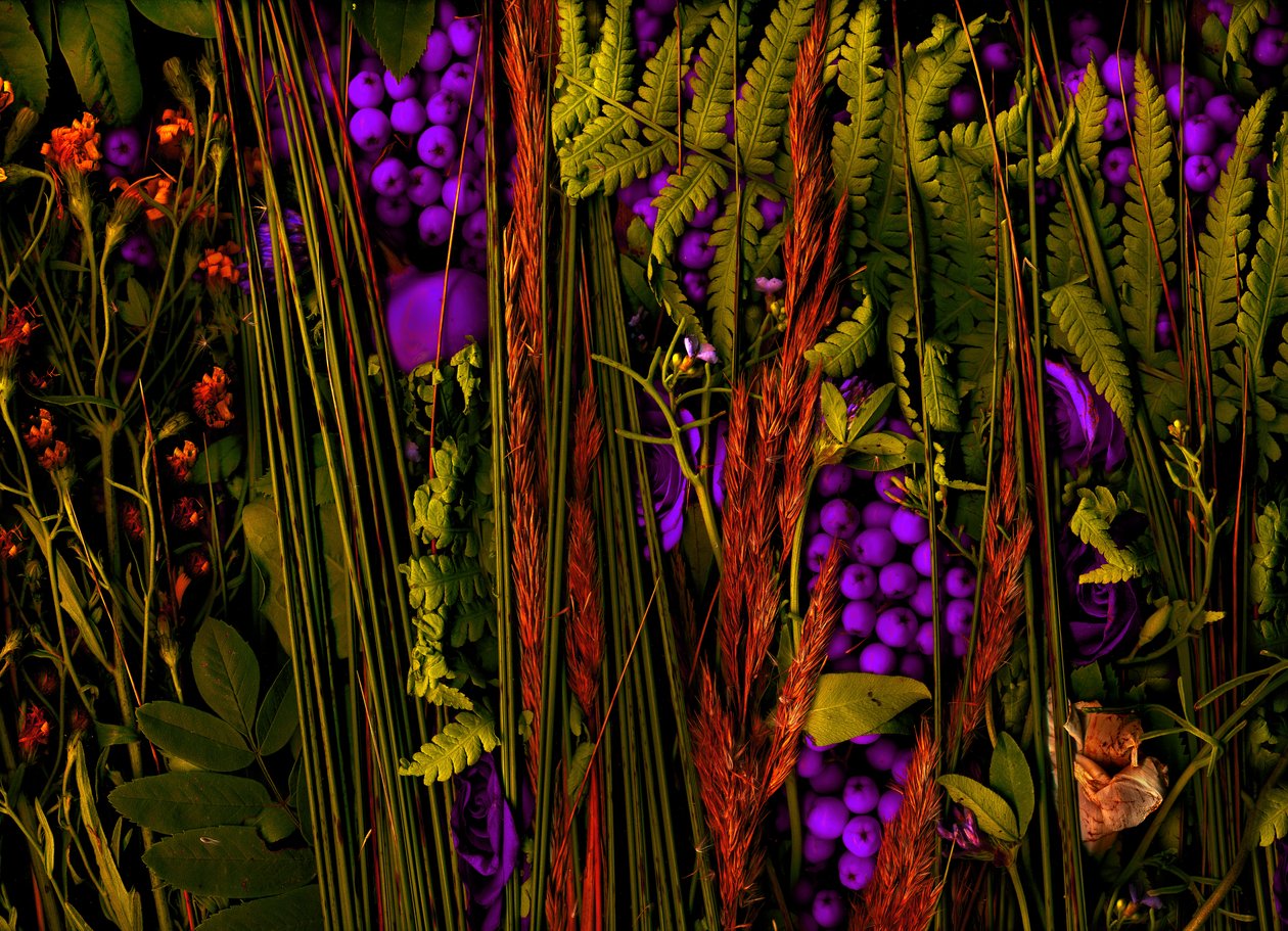  av Antonius Antonius