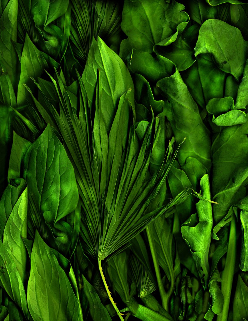  av Antonius Antonius