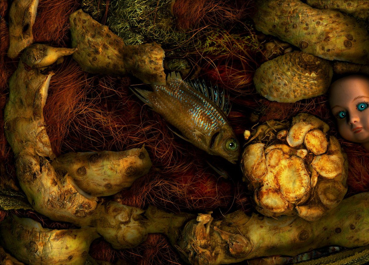  av Antonius Antonius