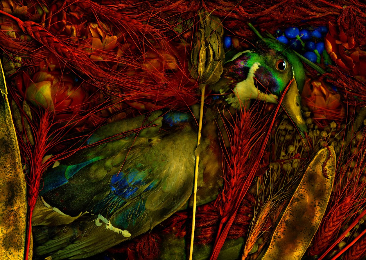  av Antonius Antonius