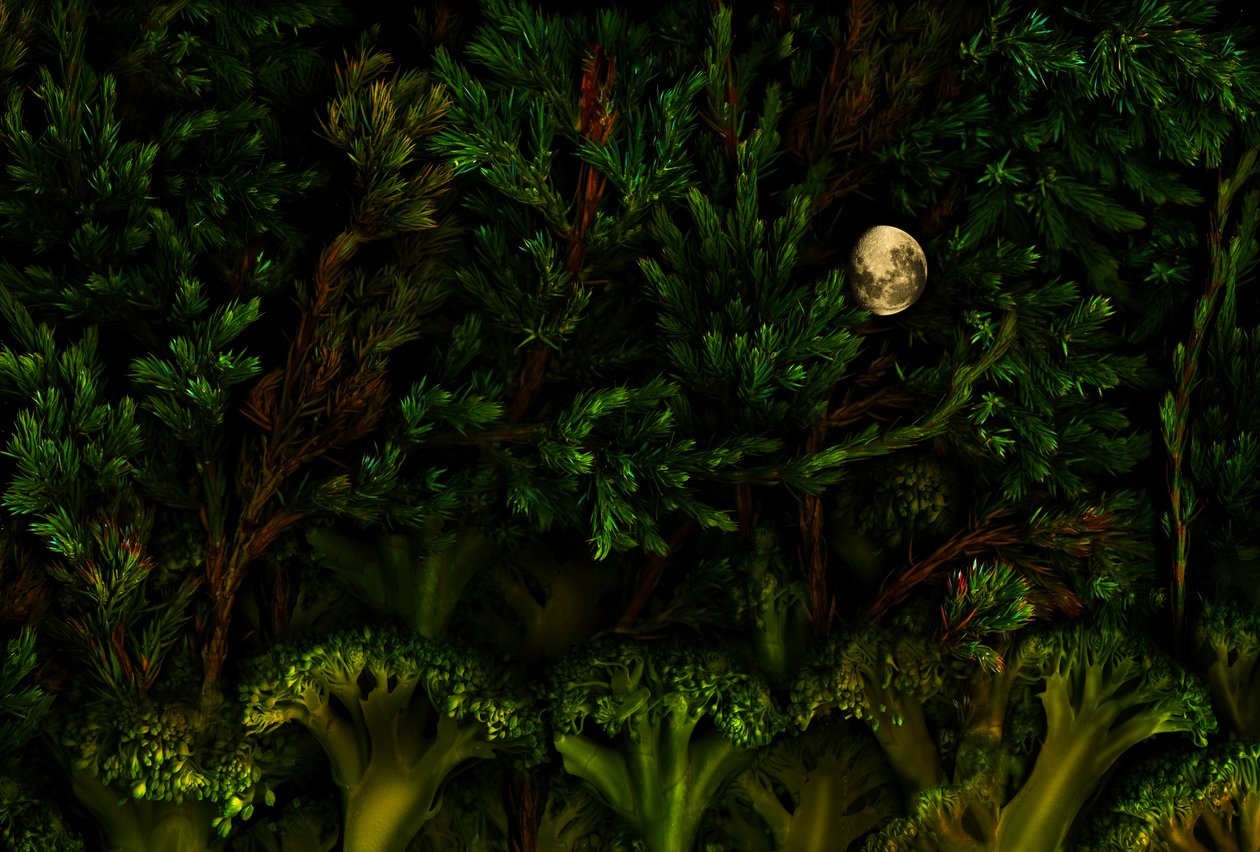  av Antonius Antonius