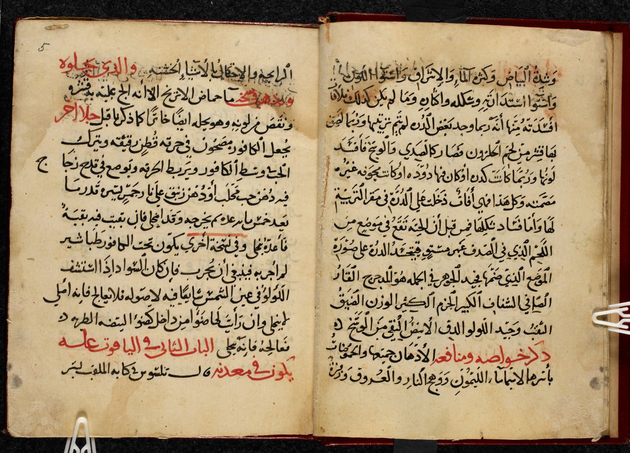 Sidor från ett manuskript, kopierat 799 AH/AD 1397, av Ahmad bin Yusuf Al-Tifashis Kitab al-Ahjar, eller Boken om ädelstenar. Eller. 1198 av Arabic School