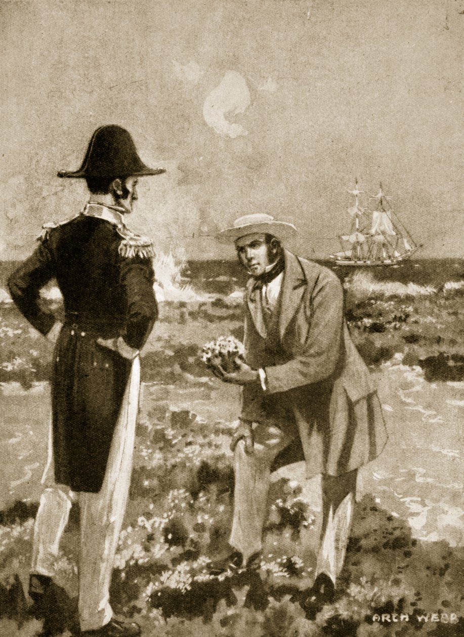 Darwin hittar ett intressant exemplar av Archibald Webb